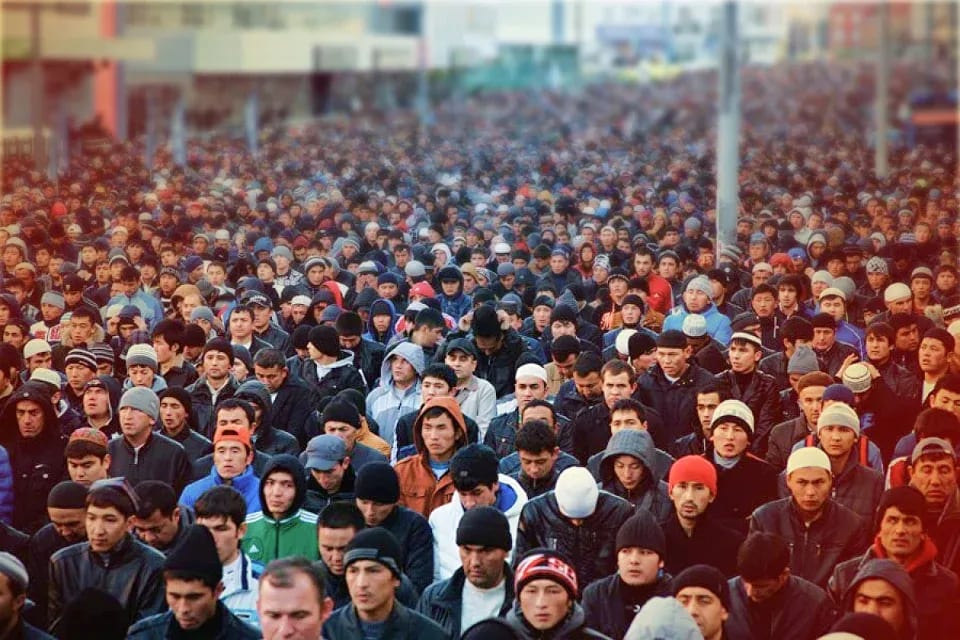 Квоты на найм иностранцев в 2025 году