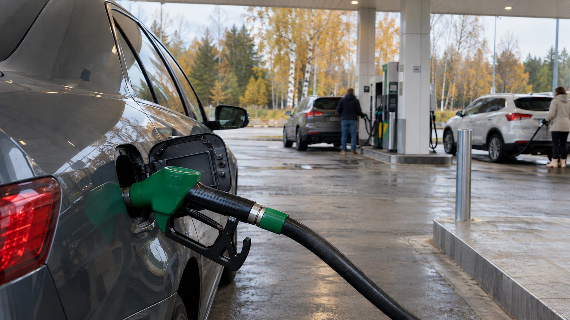 АИ-95 подорожал до 72,95 рубля, но отметок о наличии бензина стало больше