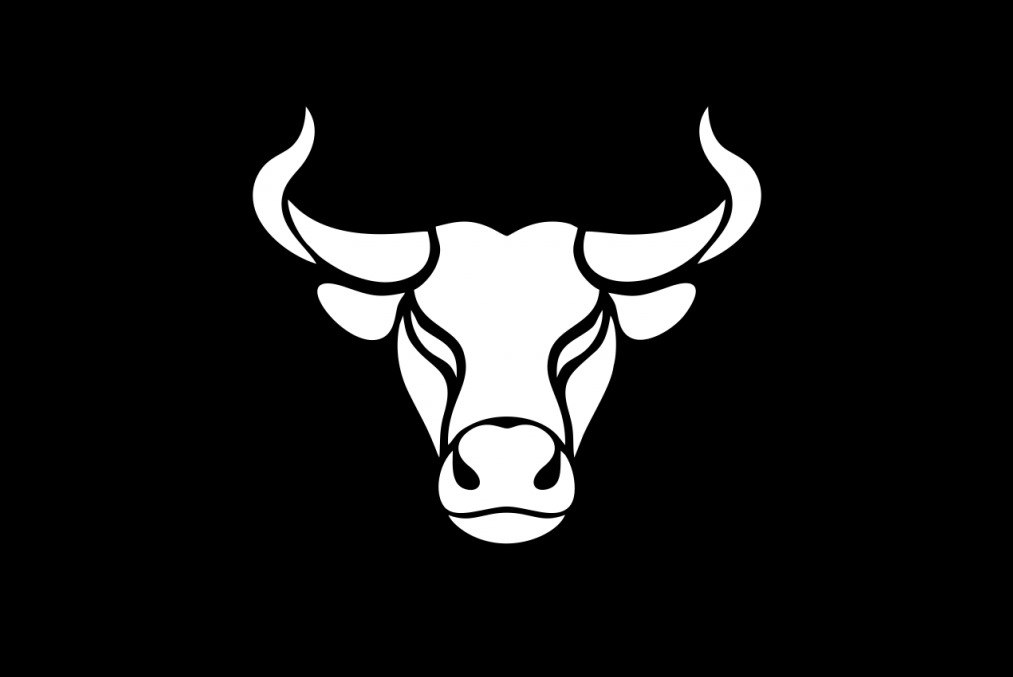 Логотип THE BULL